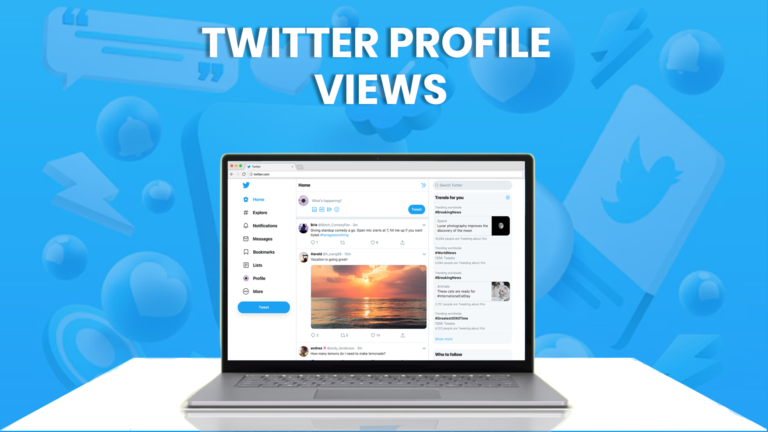 who views twitter profile