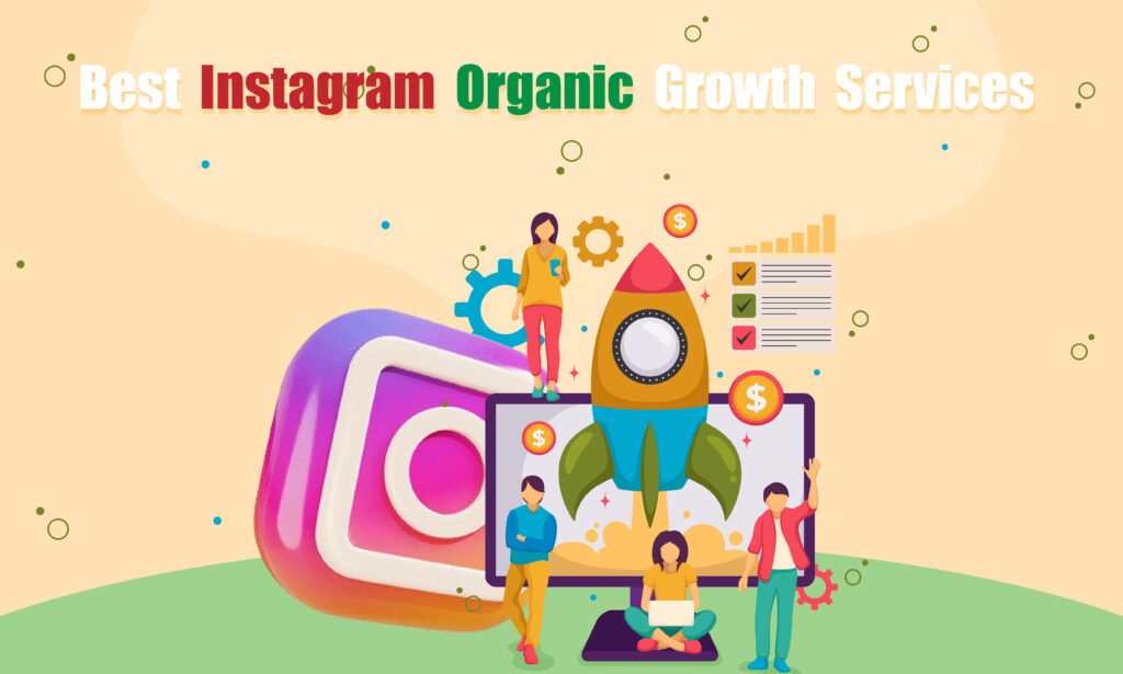 Instagram Organic Growth Services