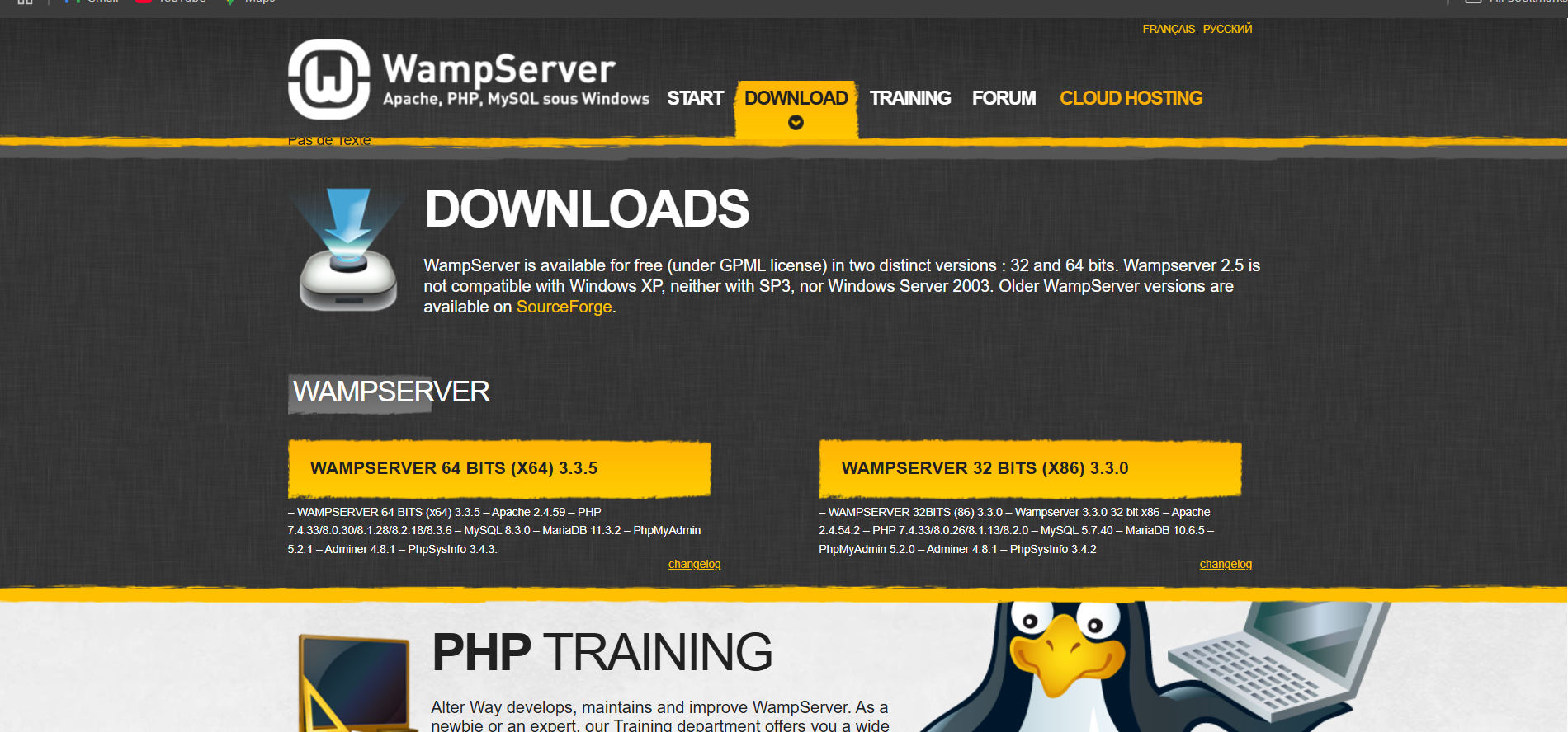 Download WAMPSERVER