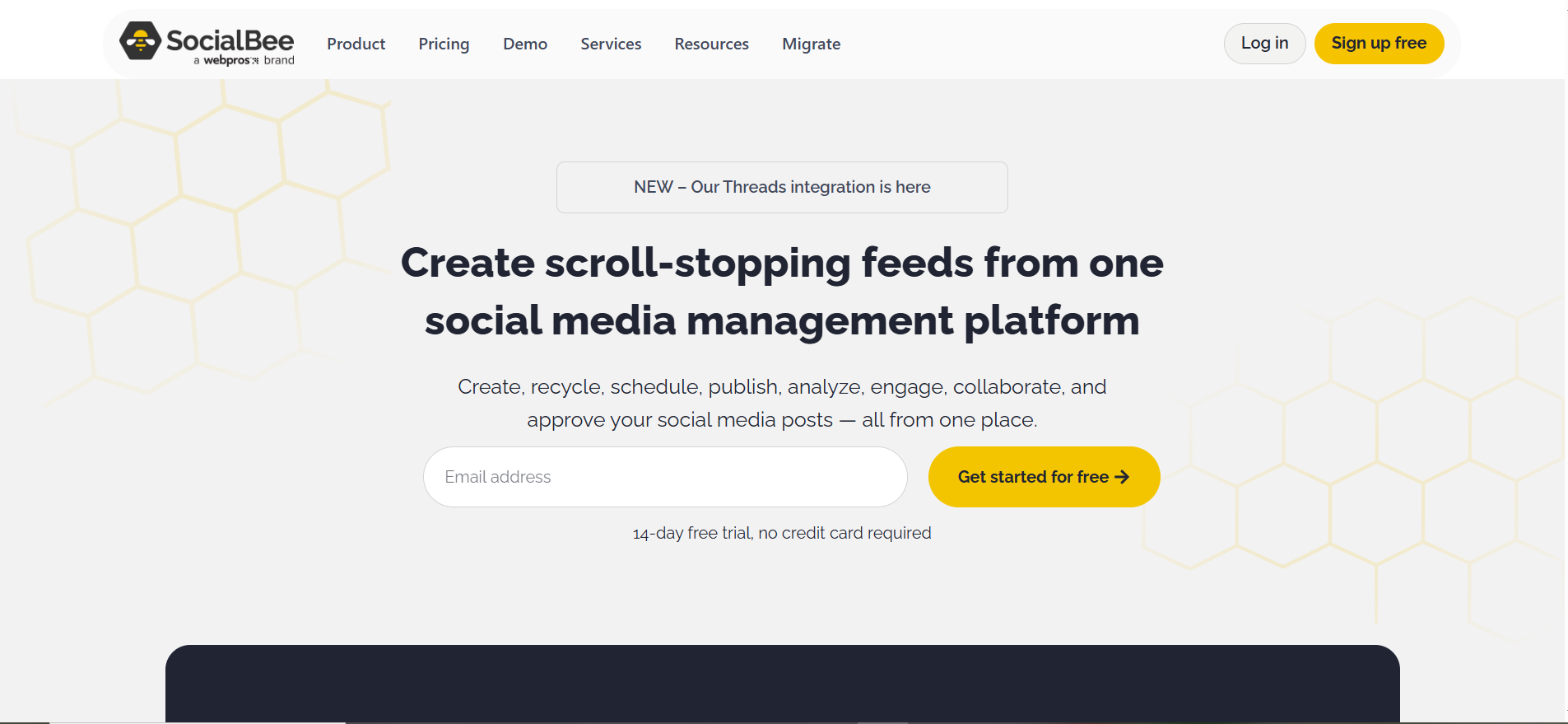 social bee
