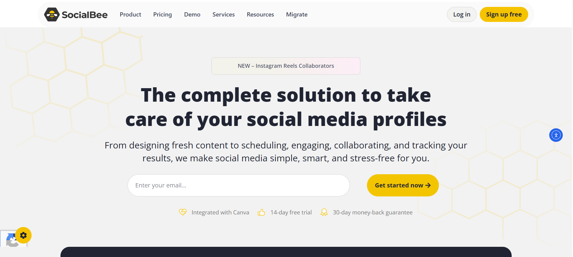 SocialBee