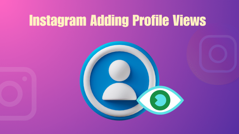 Instagram Adding Profile Views Explained
