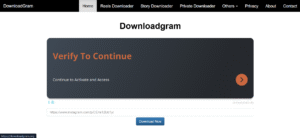 Conceptual image of DownloadGram web tool used for saving Instagram photos and videos.