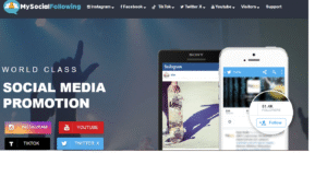 mysocialfollowing