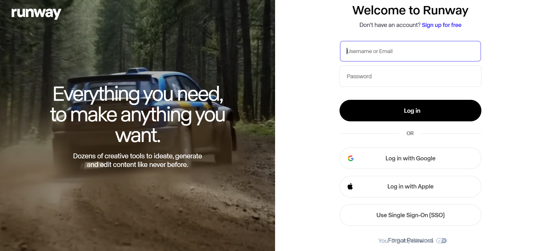 Runway Video (Runway ML)