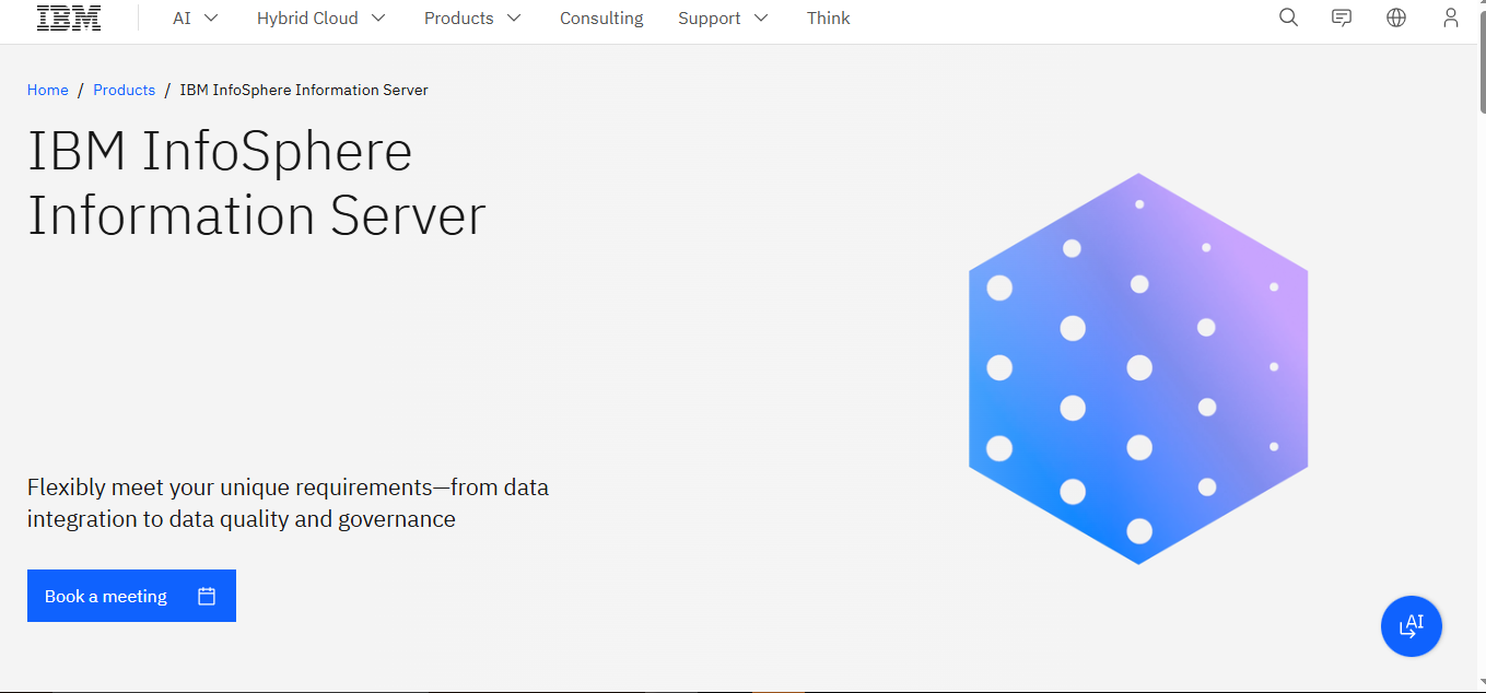 IBM InfoSphere Information Server